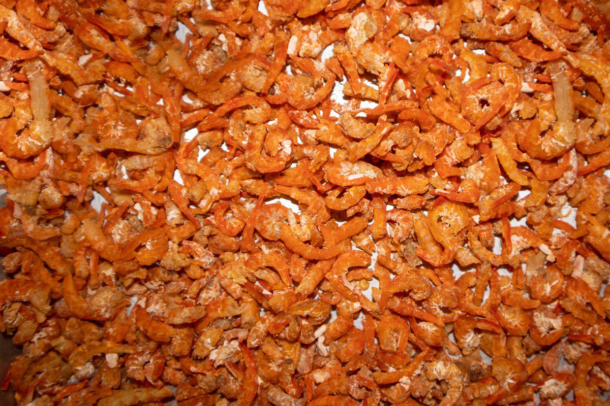 Dried shrimp piled in close-up view.