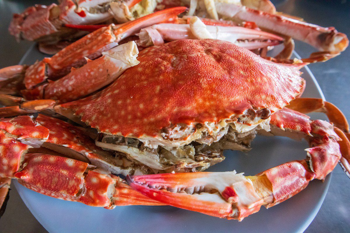 Cooked crab on a white plate.