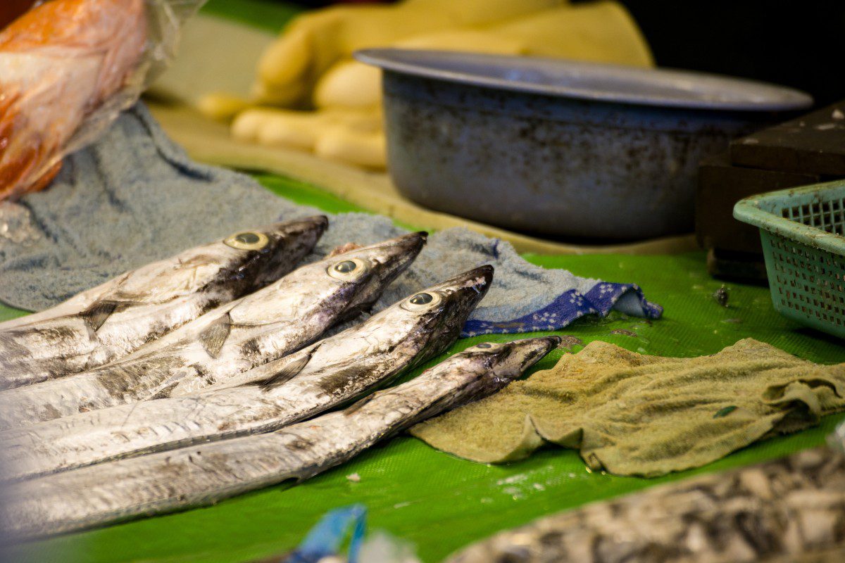 Fresh fish on display at market counter.