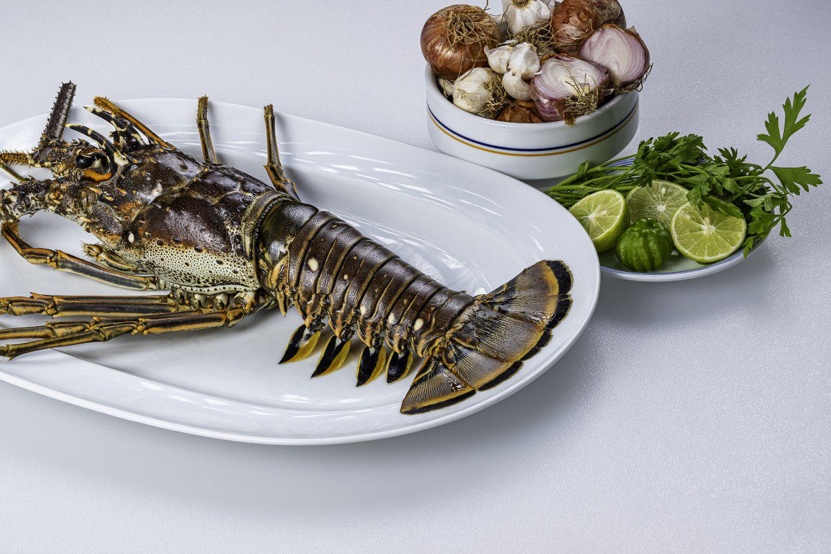 Lobster on plate with herbs and limes.