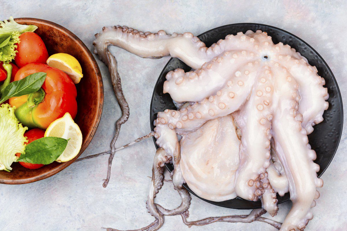 Fresh octopus and salad on plates.