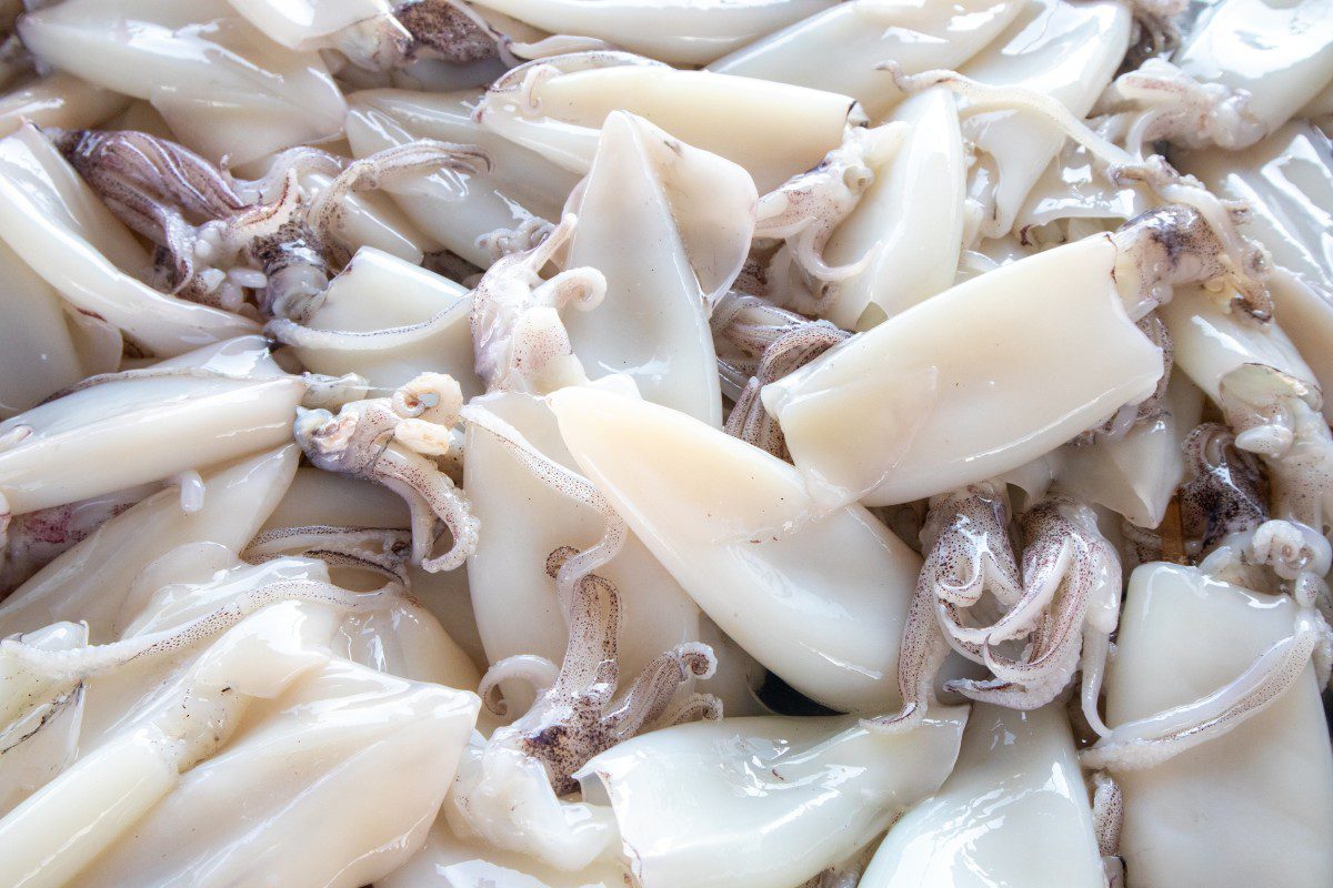 Freshly cleaned squid pieces on display.