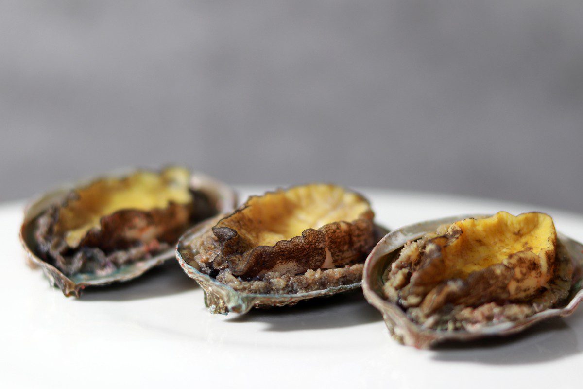 Three abalones on a white surface.