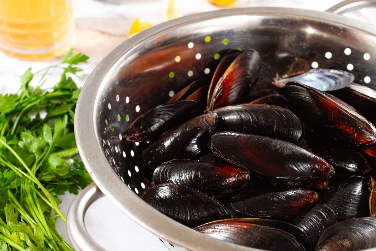 Fresh mussels in colander with parsley garnish.