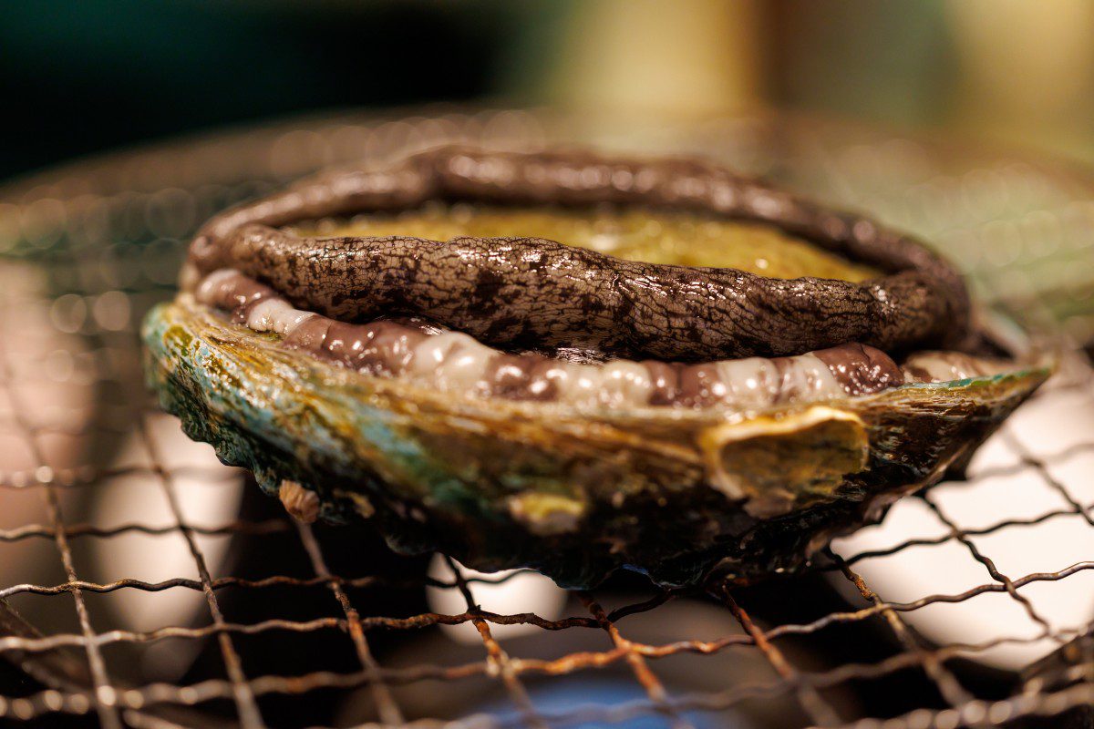 Grilled abalone on a wire rack.