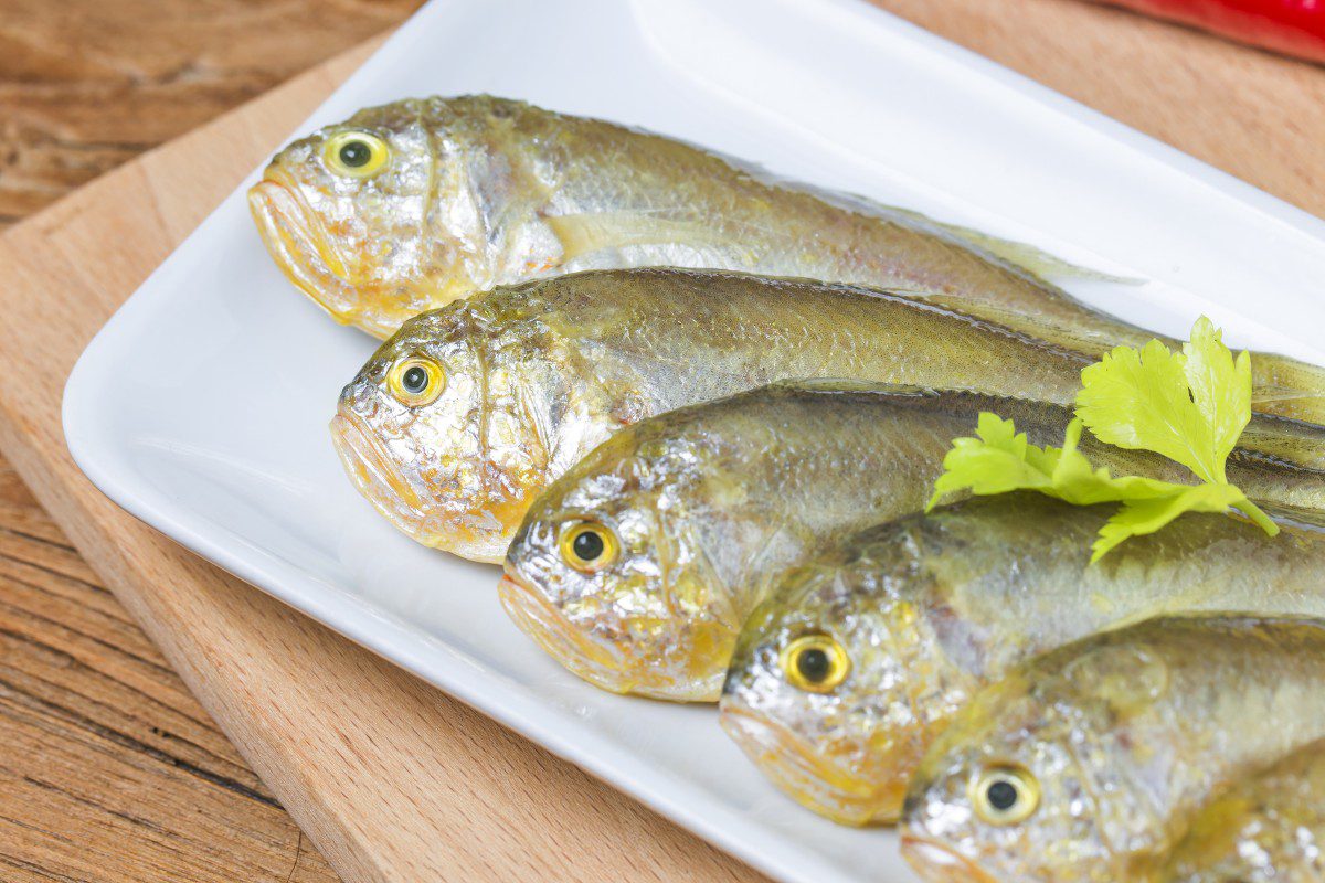 Four fish on a white plate.