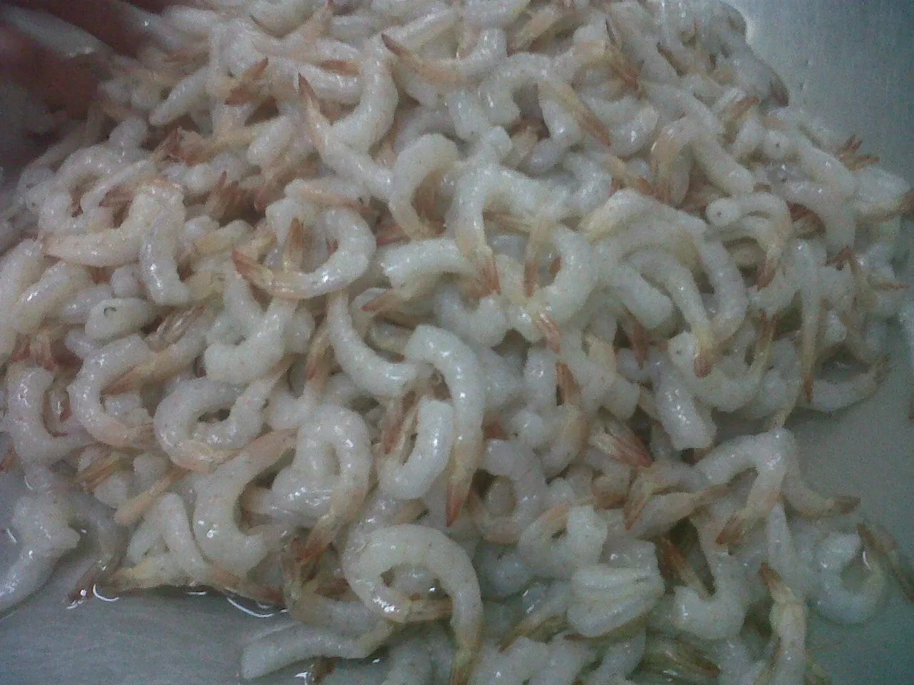 Pile of raw shrimp on a surface.
