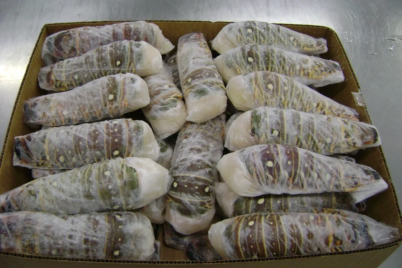 Box of wrapped frozen stuffed eggplants.