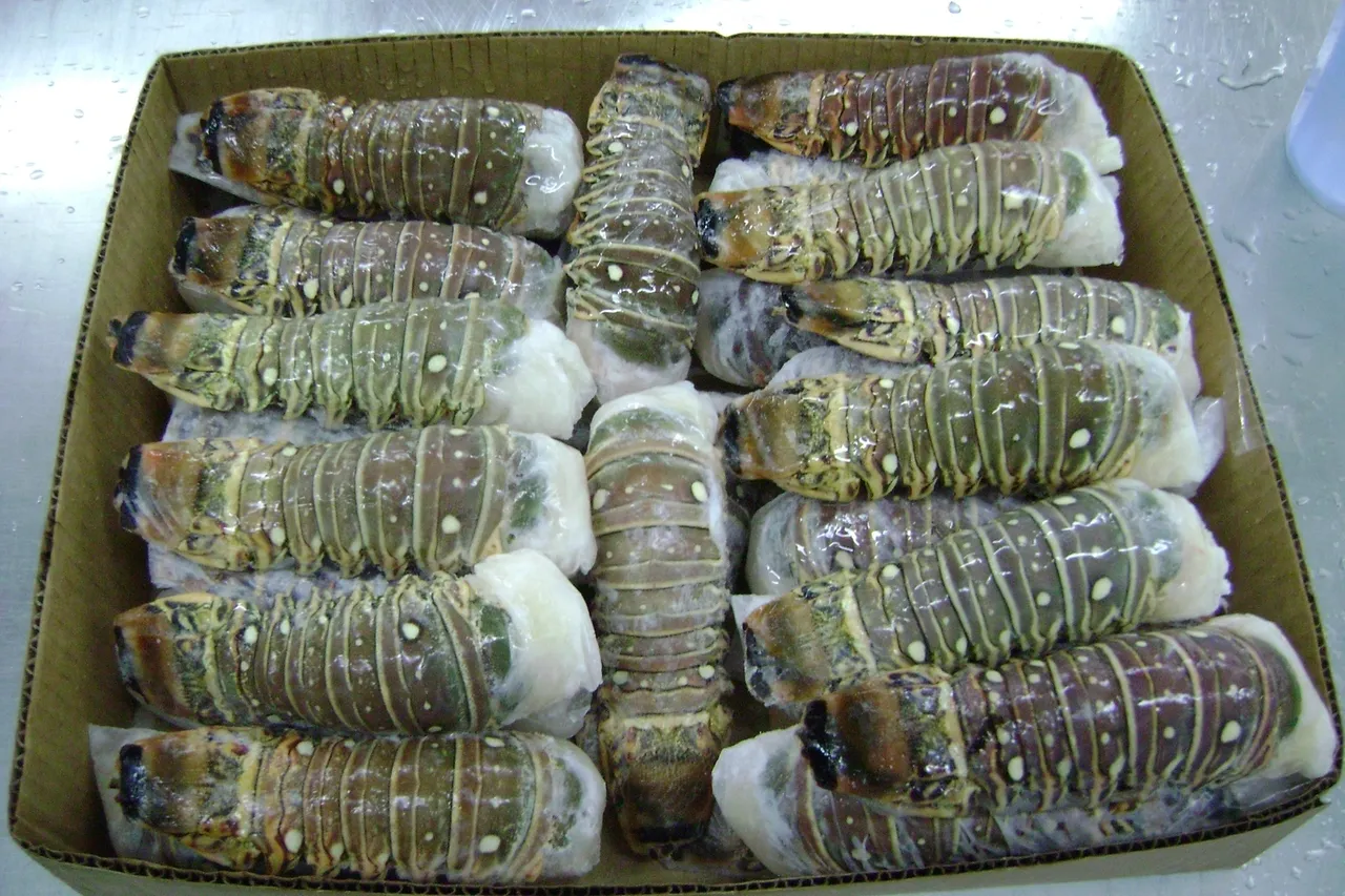 Box of frozen lobster tails.