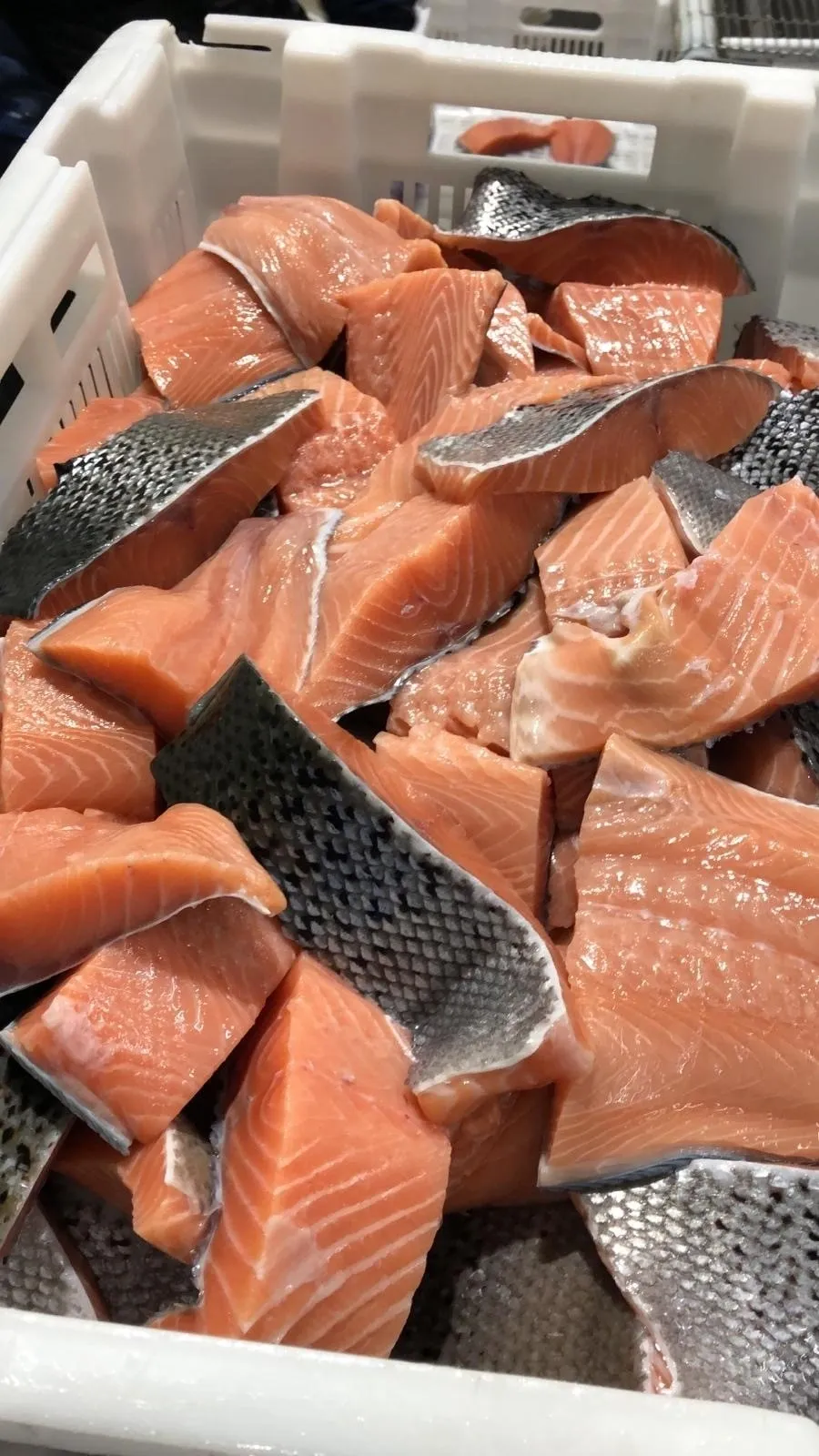 Fresh salmon fillets in a white container.