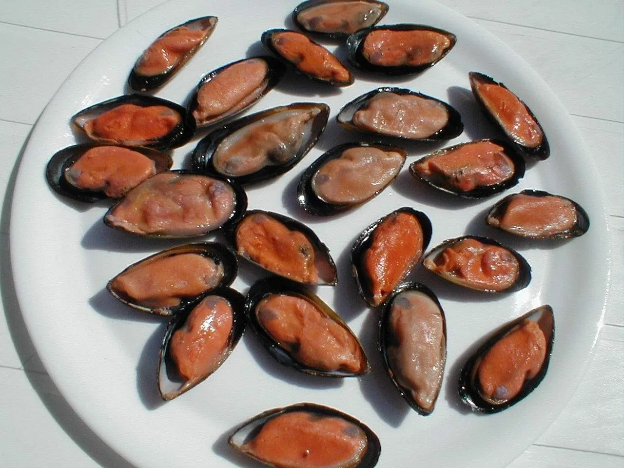 Plate of fresh mussels on white background.