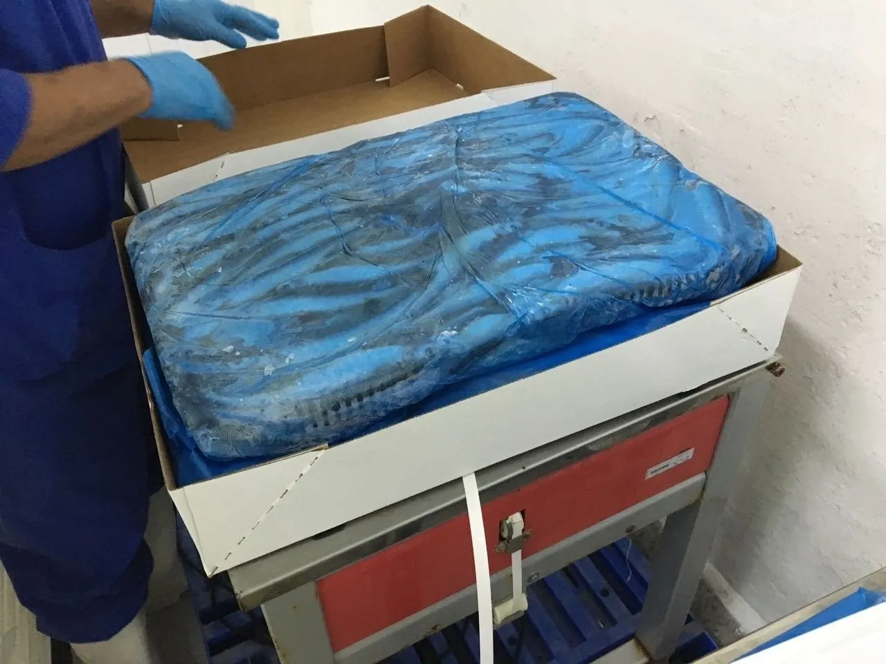 Box containing large frozen fish filet.