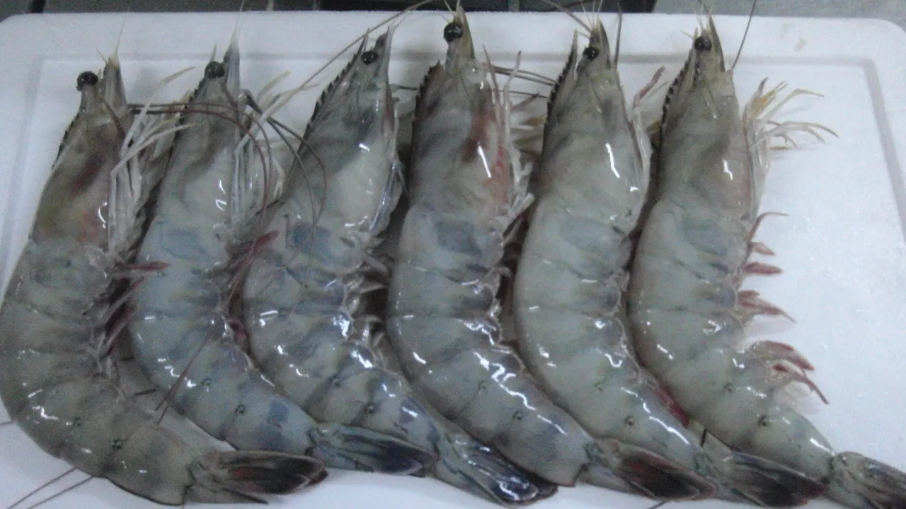 Raw shrimp lined up on cutting board.