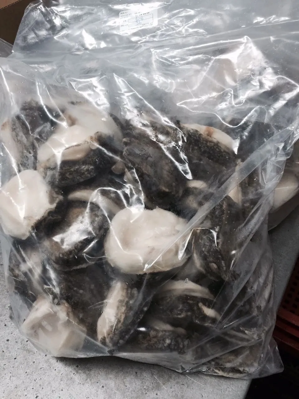 Frozen deer antlers in a plastic bag.