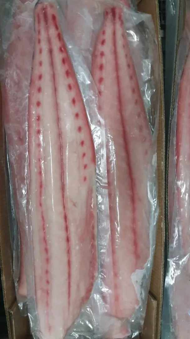 Frozen fish fillets in plastic packaging.